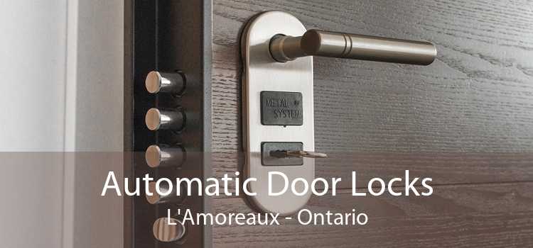 Automatic Door Locks L'Amoreaux - Ontario