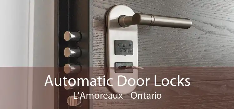 Automatic Door Locks L'Amoreaux - Ontario