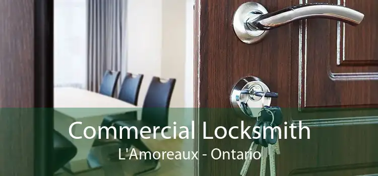 Commercial Locksmith L'Amoreaux - Ontario