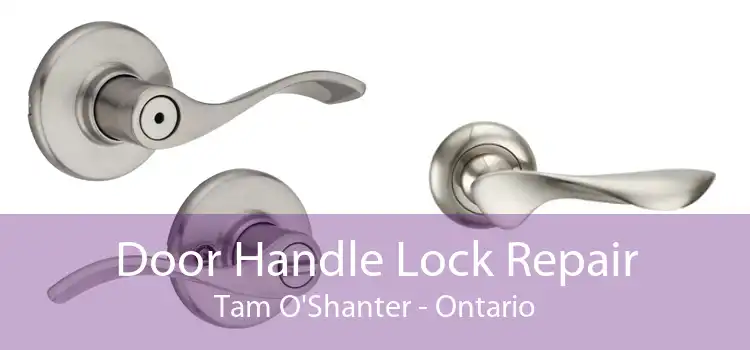 Door Handle Lock Repair Tam O'Shanter - Ontario