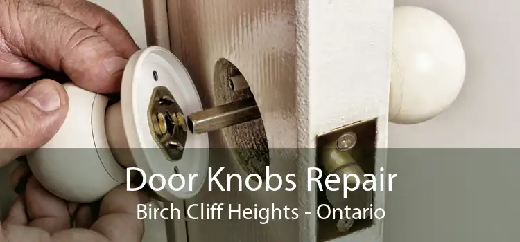Door Knobs Repair Birch Cliff Heights - Ontario