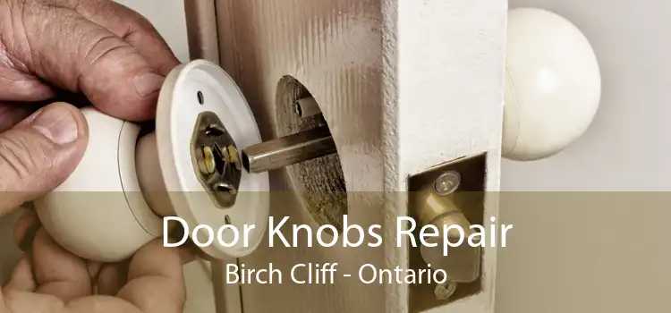 Door Knobs Repair Birch Cliff - Ontario