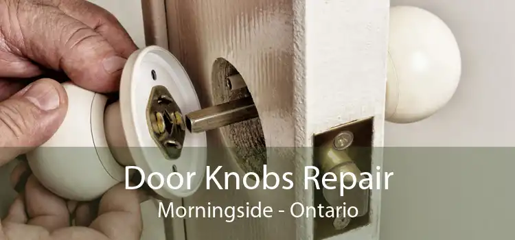 Door Knobs Repair Morningside - Ontario