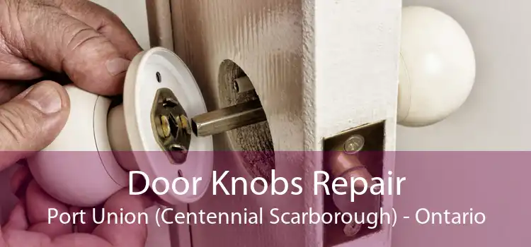 Door Knobs Repair Port Union (Centennial Scarborough) - Ontario