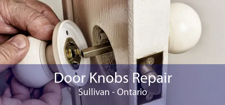 Door Knobs Repair Sullivan - Ontario