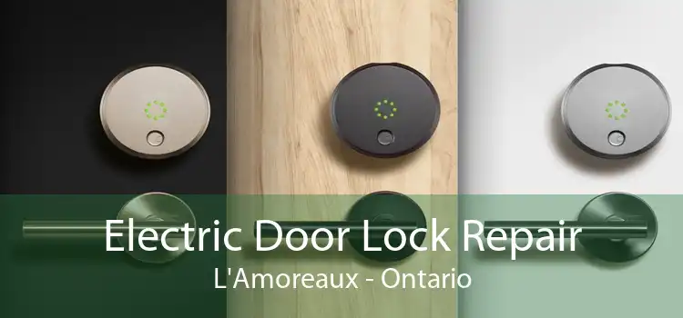 Electric Door Lock Repair L'Amoreaux - Ontario