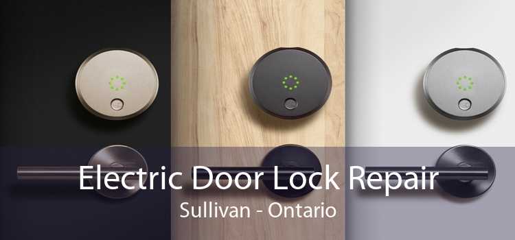Electric Door Lock Repair Sullivan - Ontario