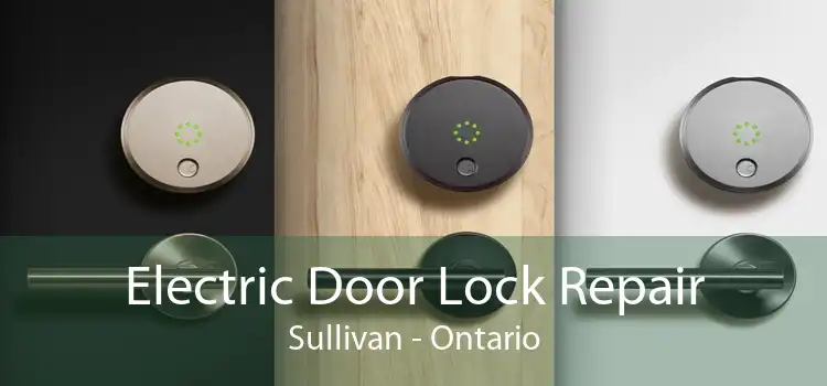Electric Door Lock Repair Sullivan - Ontario