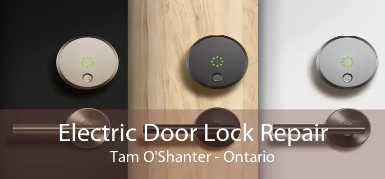 Electric Door Lock Repair Tam O'Shanter - Ontario