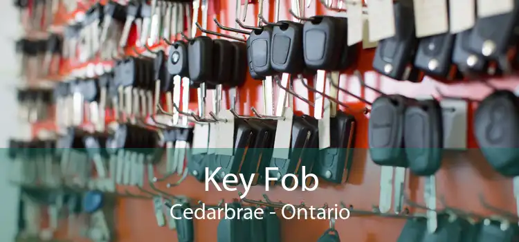 Key Fob Cedarbrae - Ontario