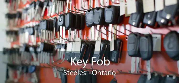 Key Fob Steeles - Ontario