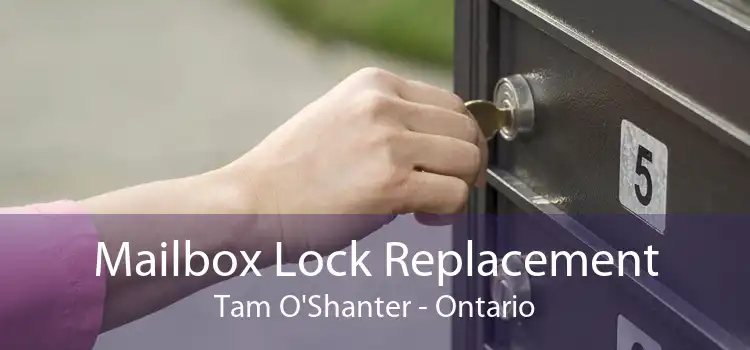 Mailbox Lock Replacement Tam O'Shanter - Ontario