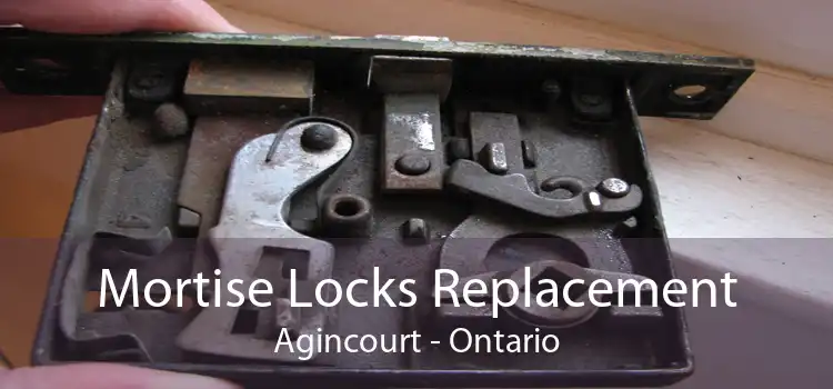Mortise Locks Replacement Agincourt - Ontario