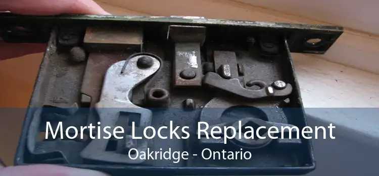 Mortise Locks Replacement Oakridge - Ontario