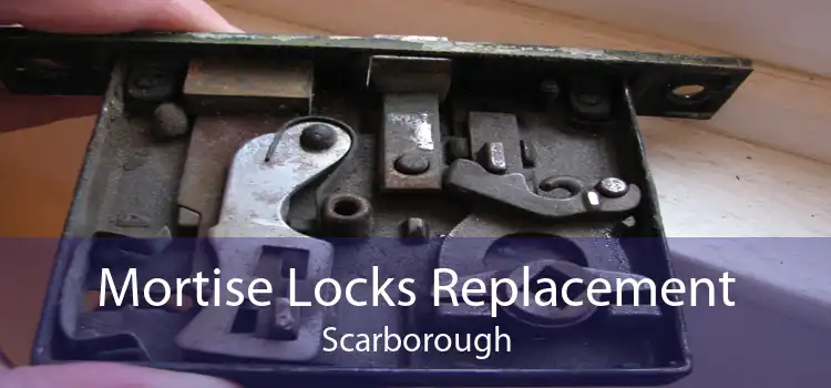 Mortise Locks Replacement Scarborough