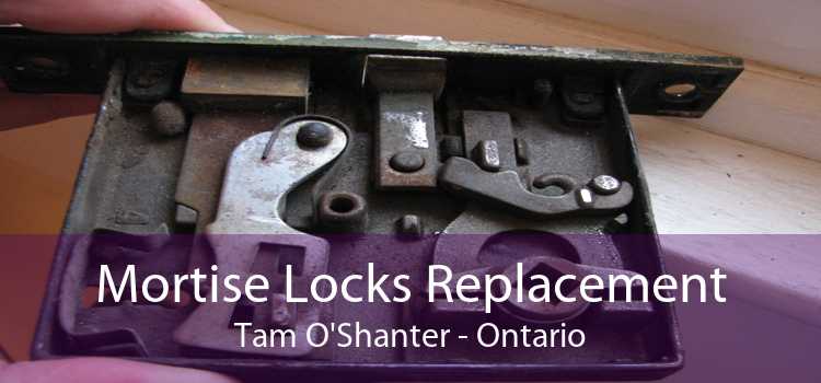 Mortise Locks Replacement Tam O'Shanter - Ontario