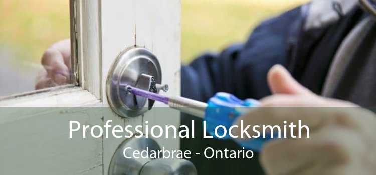 Professional Locksmith Cedarbrae - Ontario