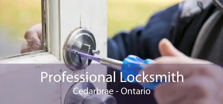 Professional Locksmith Cedarbrae - Ontario