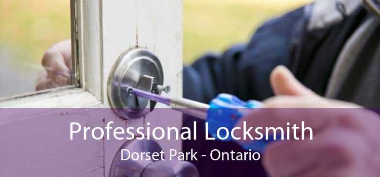 Professional Locksmith Dorset Park - Ontario