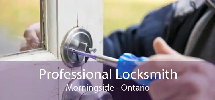 Professional Locksmith Morningside - Ontario