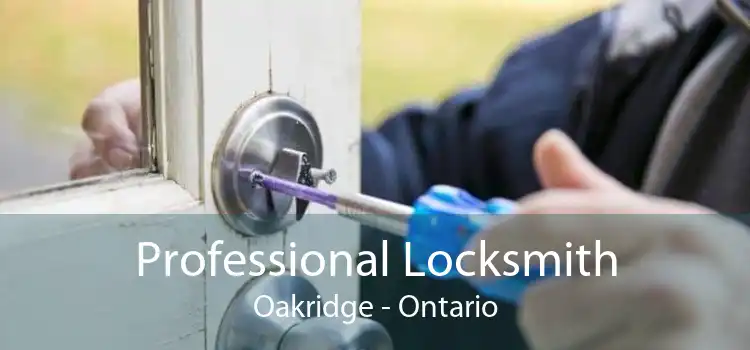 Professional Locksmith Oakridge - Ontario