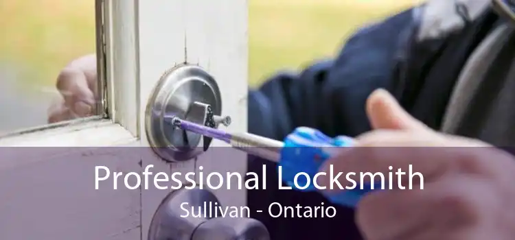 Professional Locksmith Sullivan - Ontario