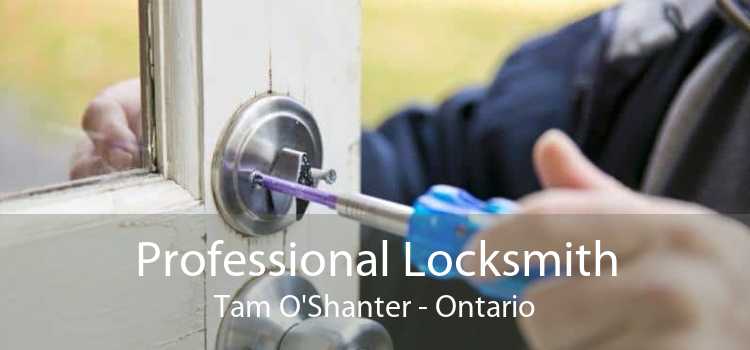 Professional Locksmith Tam O'Shanter - Ontario