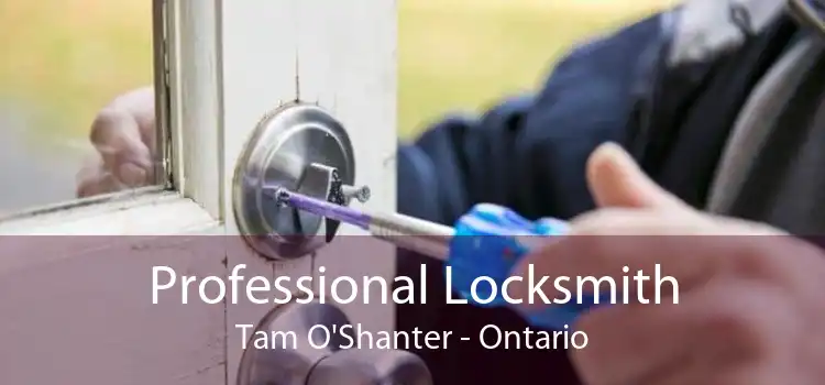 Professional Locksmith Tam O'Shanter - Ontario