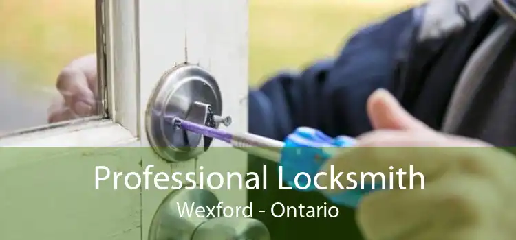 Professional Locksmith Wexford - Ontario