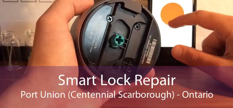 Smart Lock Repair Port Union (Centennial Scarborough) - Ontario