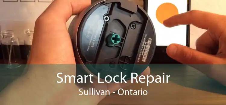 Smart Lock Repair Sullivan - Ontario